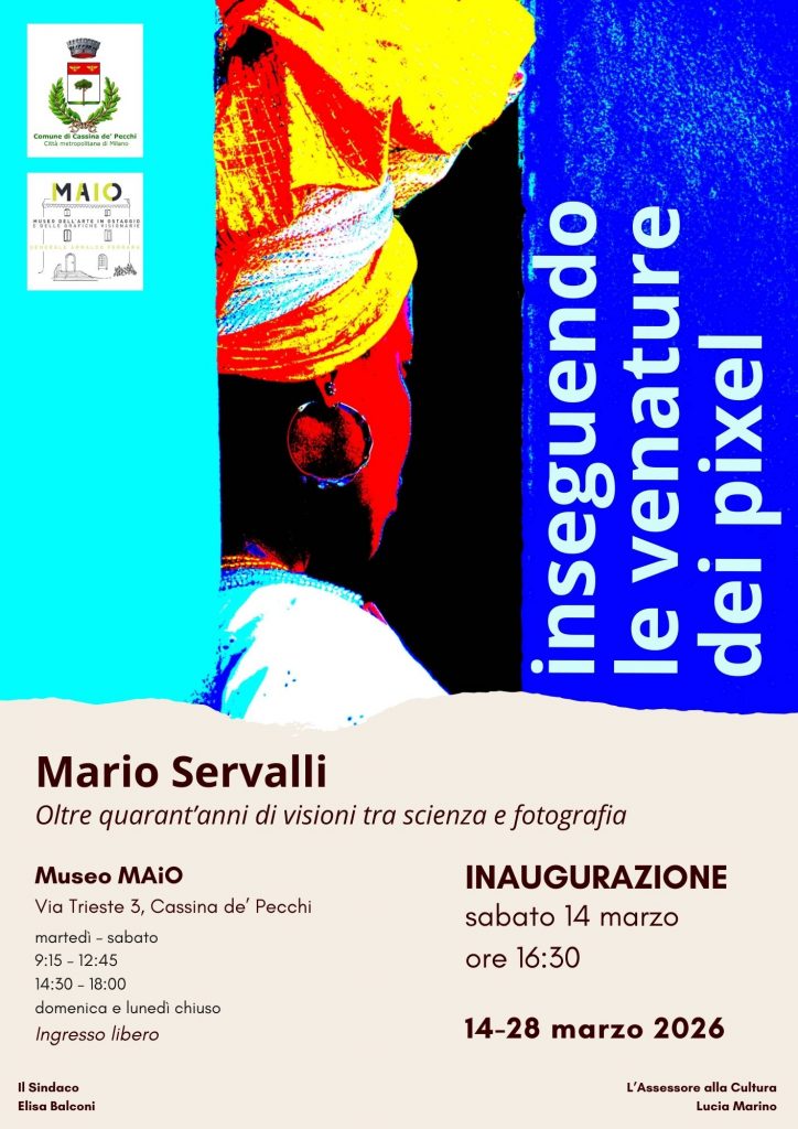 Inseguendo le venature dei pixel, mostra di Mario Servalli